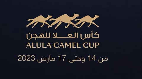 كأس العُلا للهجن.. الماضي يعانق الحاضر لإبراز الأهمية الثقافية والرياضية للهجن