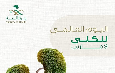 "معقدة ومذهلة".. حقائق عن الكلى مُحَمّلة بالنصائح تُهديها لك "الصحة"