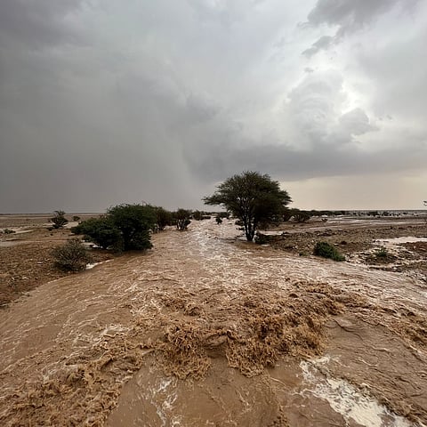 شاهد.. هطولات مطرية تروي الأودية والشعاب بشمال وغرب الرياض