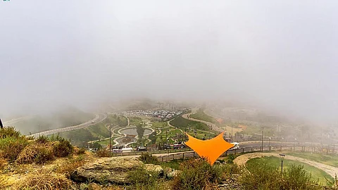 الباحة