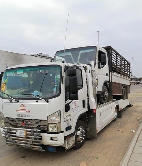 تفاعلاً مع "سبق".. أمانة جدة تداهم موقعًا لبيع المواشي عشوائيًا