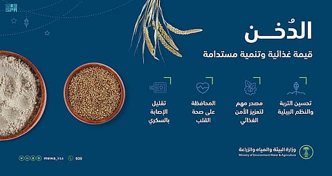 "البيئة": استخدام التقنيات الحديثة لتطوير زراعة الدُخن وزيادة إسهامه في الأمن الغذائي