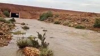 شاهد.. الأمطار الديمية بمحافظة شقراء تُجري الأودية في شقراء ومراكزها