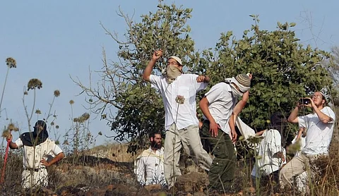 صباح اليوم.. مستوطنون يعتدون على المزارعين الفلسطينيين شمال رام الله
