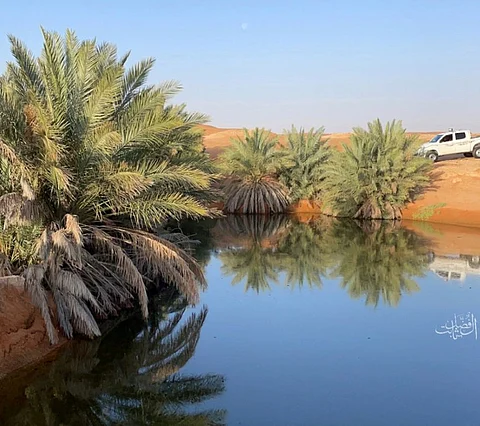 شاهد.. "برودان" أنموذج حي لـ"واحة الصحراء".. بحيرة محفوفة بالنخيل داخل الرمال جنوب المشاش