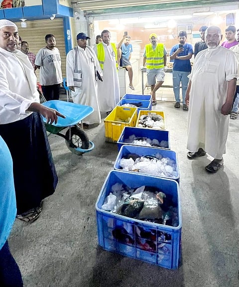 "بيئة القنفذة" تضبط مخالفين لأنظمة الصيد البحري جنوب المحافظة