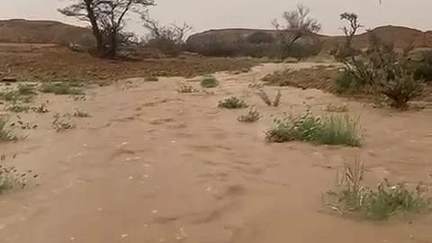 شاهد.. هطول أمطار متوسّطة إلى غزيرة على محافظتَيْ ثادق وشقراء