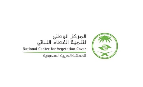 "الغطاء النباتي": إصدار نحو 1300 ترخيص لبيع الحطب والفحم المستورد