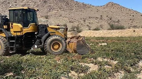 جانب من أعمال إزالة المزارع المخالفة