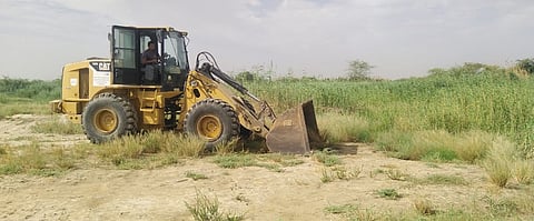 "أمانة جدة" تُزيل 8 مزارع في أبو جعالة تُروى بمياه الصرف الصحي