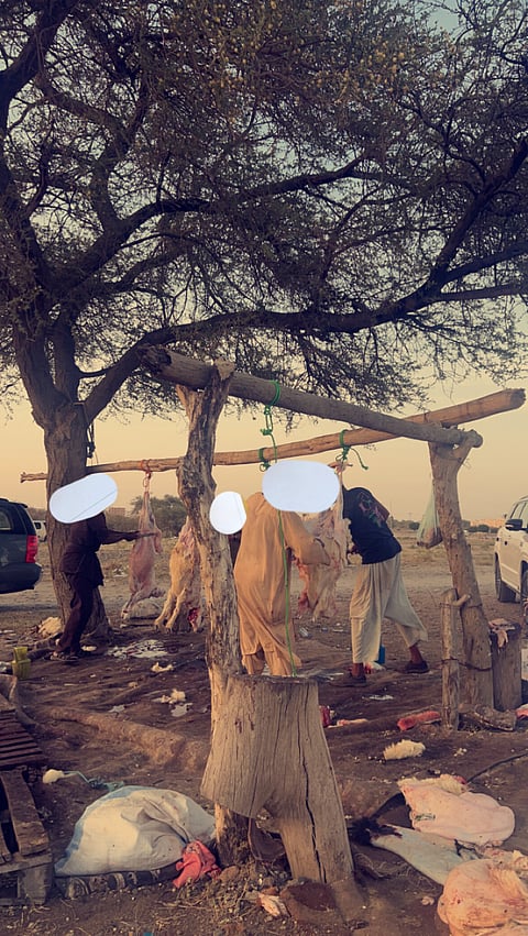 شاهد.. مسلخ عشوائي بجوار مصلى الغيد بـ"قيم الطائف" ينذر بتلوث بيئي