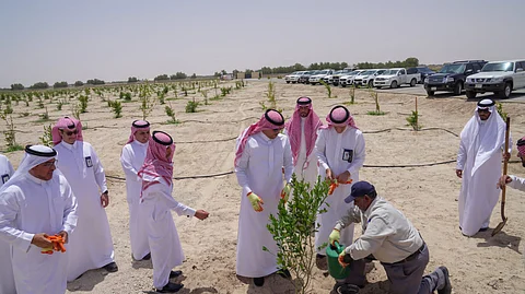 محافظ الأحساء الأمير سعود بن طلال خلال زيارته الميدانية لمزرعة ليمونة الإرشادية