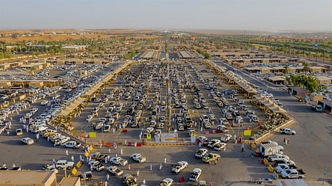 خلال 8 أيام.. أكثر من 87 ألف رأس من الأضاحي تستقبلها مدينة الأنعام ببريدة