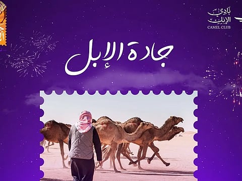 "تحكيم جادة الإبل" تعلن الفائزين في شوطَي فئة الحيران "بكار – قعدان" وشوط جمل 30 للون الشقح