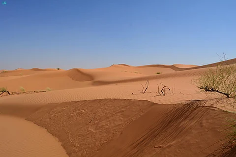 "فبيني وبينك رمل عالج".. سحر "النفود الكبير" ورواياته.. حصن رائع مخيف!