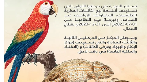 "الحياة الفطرية": المرحلة الأولى لمبادرة تصحيح أوضاع الكائنات الفطرية تستمر لنهاية 2023