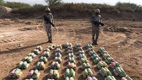 الأفواج الأمنية بجازان تقبض على شخص لترويجه نبات القات المخدر