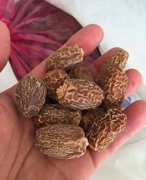 مختص: طبخ "بسر الرطب" صناعة لتصدير "السلوق".. وليست غشاً تجارياً
