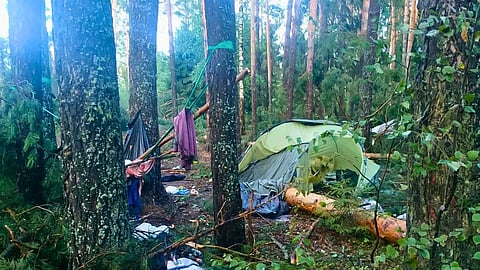 سقطت أشجارٌ على موقع تخييم في منطقة ماري إل الروسية