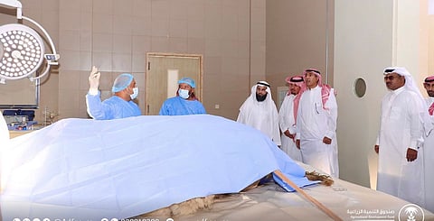 مدير صندوق التنمية الزراعية يتفقد مرافق مستشفى الإبل بالقصيم