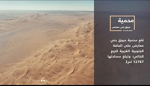محمية بني معارض.. كثبان رملية ثرية بالتنوع النباتي والحيواني
