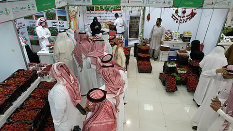 "مهرجان فلفل شقراء" بالأرقام.. "12 ألف زائر في يوم و5 أطنان و100 ألف مبيعات يومية