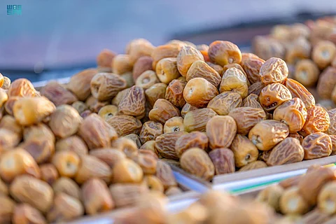بمشاركة 4 آلاف شاب وفتاة.. انطلاق مهرجان التمور ببريدة لتسويق منتجات 11 مليون نخلة