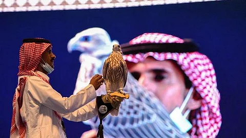 منتجون سعوديون: المزاد الدولي لمزارع إنتاج الصقور إضافة اقتصادية مهمة