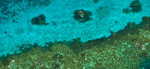 أحد أهم اكتشافات رحلة البحر.. "الفضلي" يعلن عن اكتشاف "الثقوب الزرقاء" في البحر الأحمر