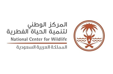 "الحياة الفطرية" يحدّد مواقع انتشار قرش النمر الرملي