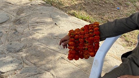 تعرف على أسرار طوق الورد في مصايف المملكة