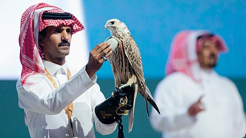 بيع أغلى صقر حُر في الشرق الأوسط بنصف مليون ريال في الليلة السادسة لمنصة المزاد الدولي لمزارع إنتاج الصقور