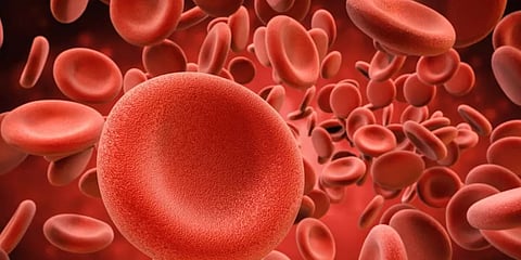 "الصحة": الخُدّج من أكثر الفئات عرضة لفقر الدم الناتج عن نقص الحديد