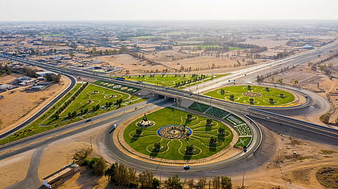 "طريق الجوف إلى المليون شجرة".. صورة رائعة وهكذا كان تفاعل الأهالي