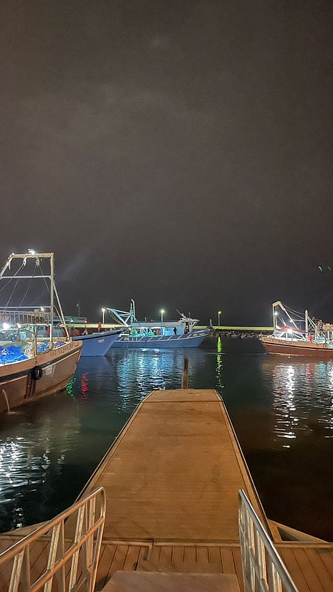 بالصور.. انطلاق موسم صيد الروبيان من مرفأ الصيادين في القنفذة