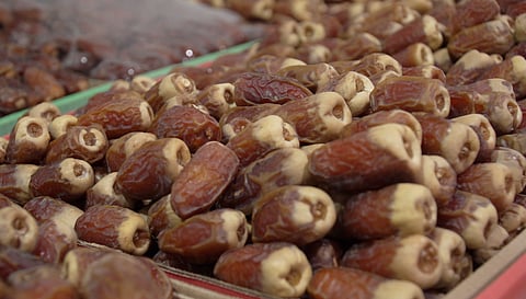 غدًا .. مهرجان "تمور الأفلاج" يستعد لاحتضان منتجات 800 ألف نخلة