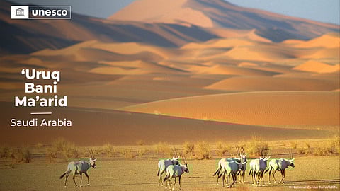 بعد دخولها قائمة التراث العالمي.. "محمية عروق بني معارض" تُزين موقع "اليونسكو"