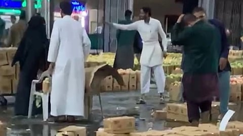 مزارعو الطائف: الأمطار أتلفت منتجاتنا بحراج سوق الخضار والفواكه