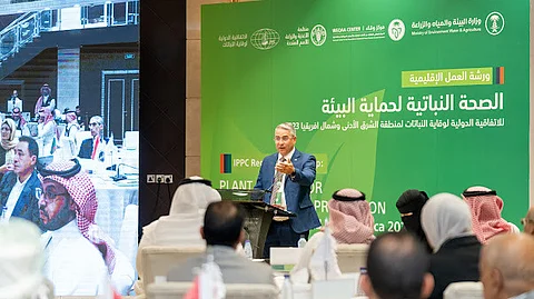 جانب من أعمال ورشة العمل الإقليمية للاتفاقية الدولية لوقاية النباتات