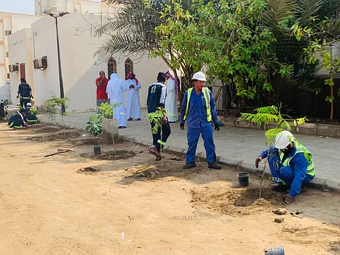 ضمن مبادرة أخضر مكة.. حملة لتشجير أكثر من ١٢٠٠ مسجد وجامع بالقنفذة