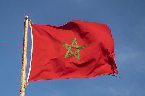 بسبب "البق الفرنسي".. المغرب يفعّل نظام اليقظة الصحية