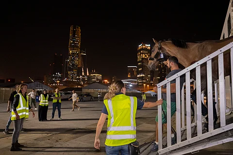 نقل 96 جوادًا من بلجيكا إلى الرياض للمشاركة في بطولة لونجين العالمية لقفز الحواجز