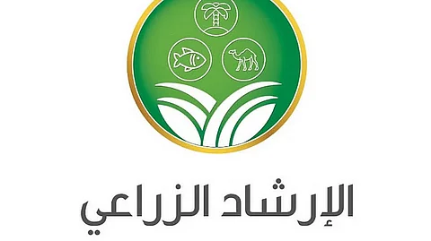 مرشدك الزراعي: شحوب واصفرار السعف من أعراض نقص "النيتروجين" بالنخيل