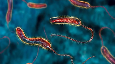 "الصحة العالمية": أكثر من مليار شخص معرضون لخطر الإصابة بالكوليرا