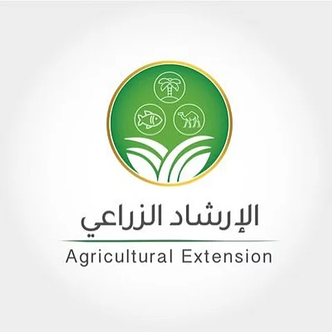 "الإرشاد الزراعي": 3 أسباب وراء تشقق "ثمار التين" خلال اقتراب نضجها