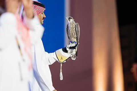 مبيعات مزاد "نادي الصقور السعودي" تتجاوز حاجز المليوني ريال مع ختام الليلة الـ 13