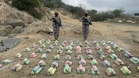 حرس الحدود يحبط تهريب 29 طنًا من نبات القات المخدر و421 كجم من الحشيش