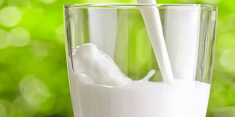 هل الحليب يعالج حرقان المعدة والحموضة؟ "صحي القصيم": قد يخفف ولكن يحفز!