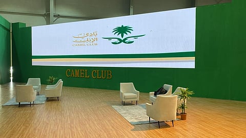 كؤوس و"وثّقها" و"سمّها".. مشاركة مميزة لنادي الإبل في "الصقور السعودي الدولي"