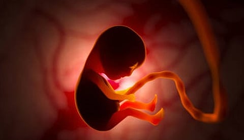 عكس ما كنا نعتقد.. دراسة: ما يسمعه الجنين في رحم أمه يمكن أن يشكّل دماغه